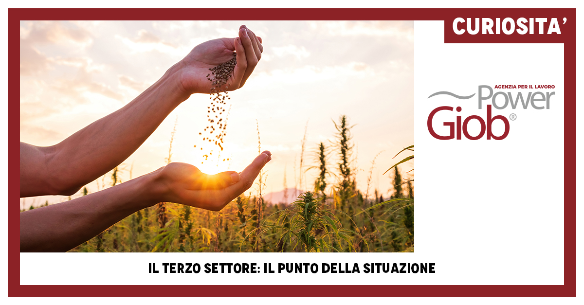 IL TERZO SETTORE: IL PUNTO DELLA SITUAZIONE